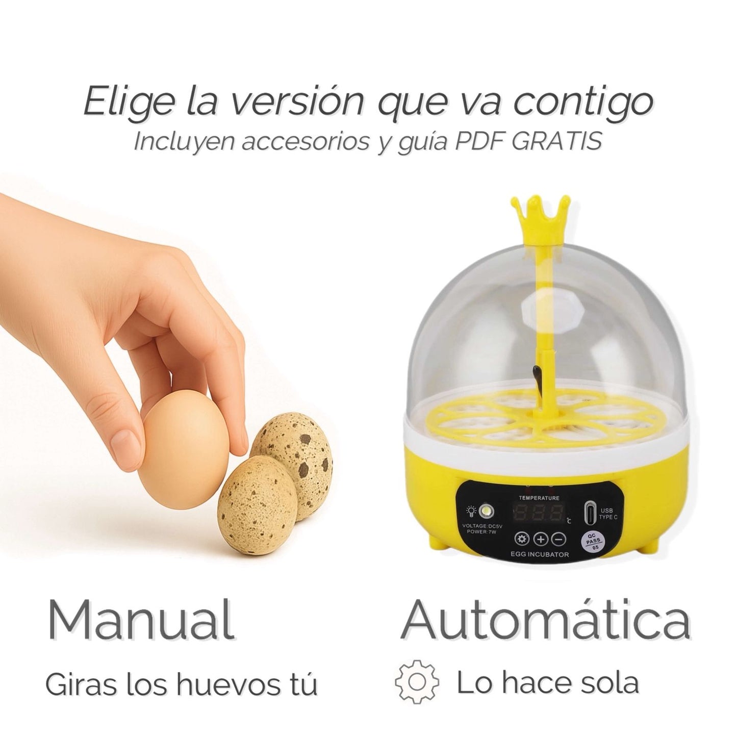 Tu primera incubadora para ver nacer una vida