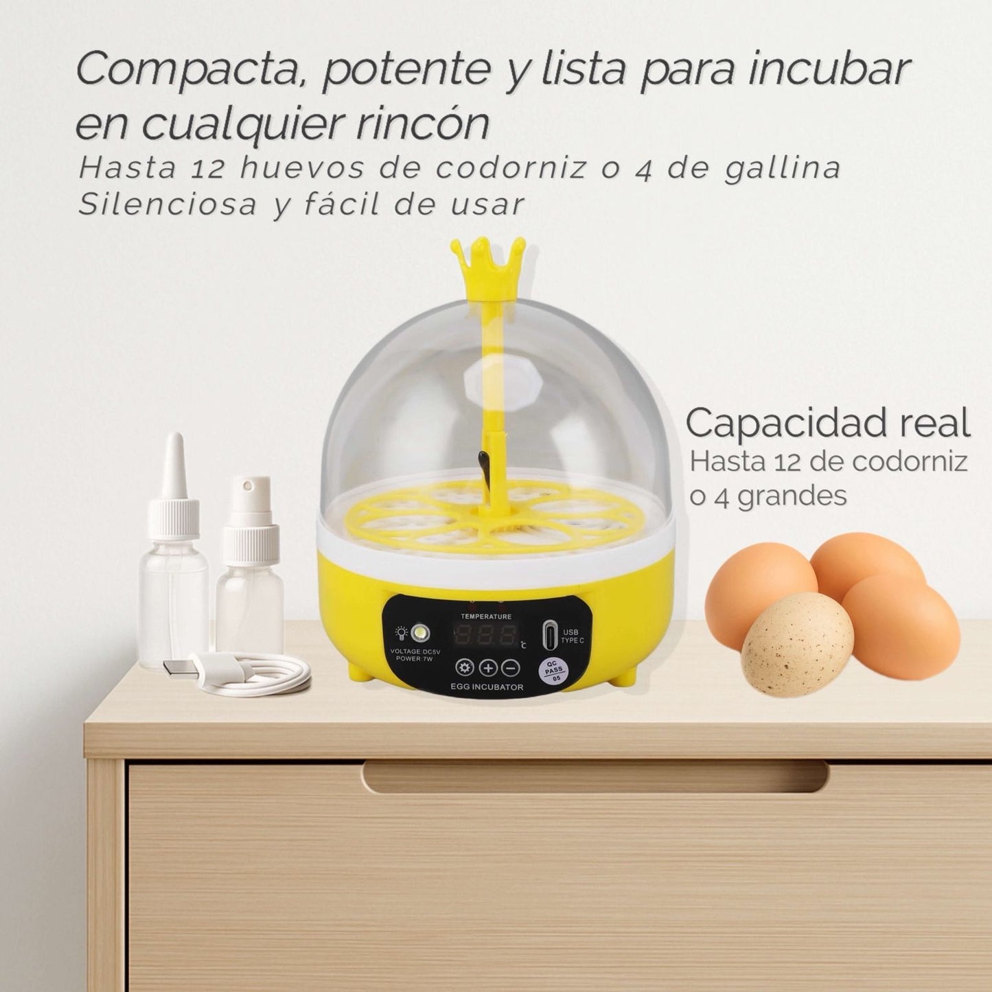 Tu primera incubadora para ver nacer una vida