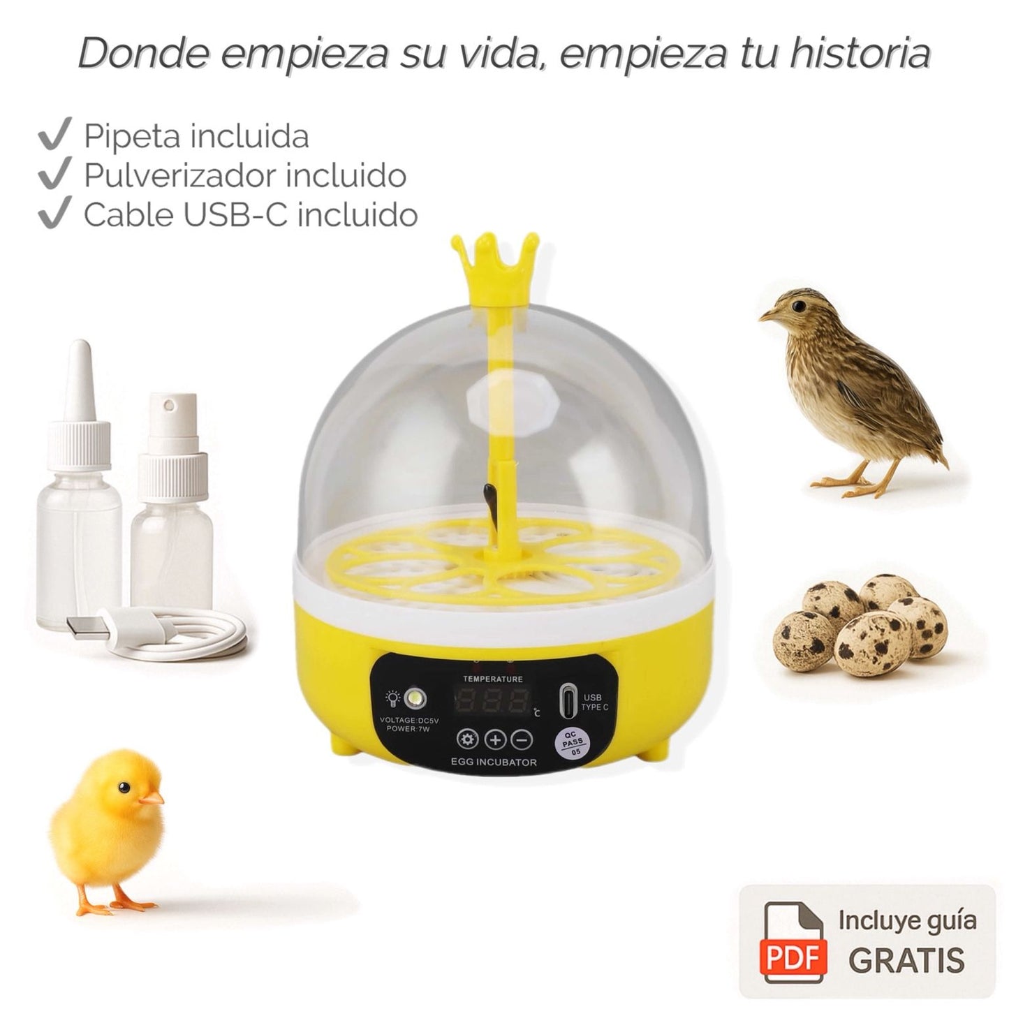 Tu primera incubadora para ver nacer una vida