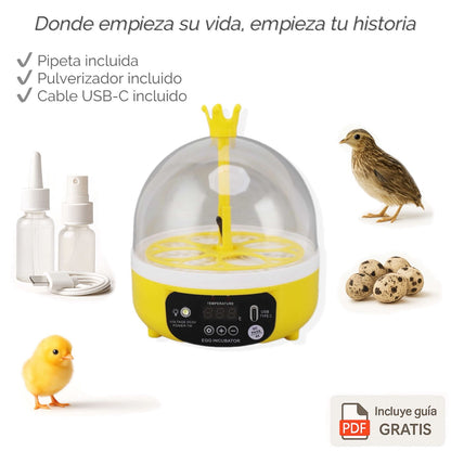 Tu primera incubadora para ver nacer una vida
